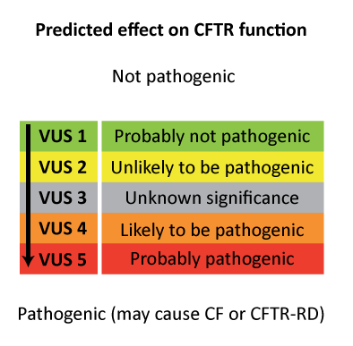 VUS classification